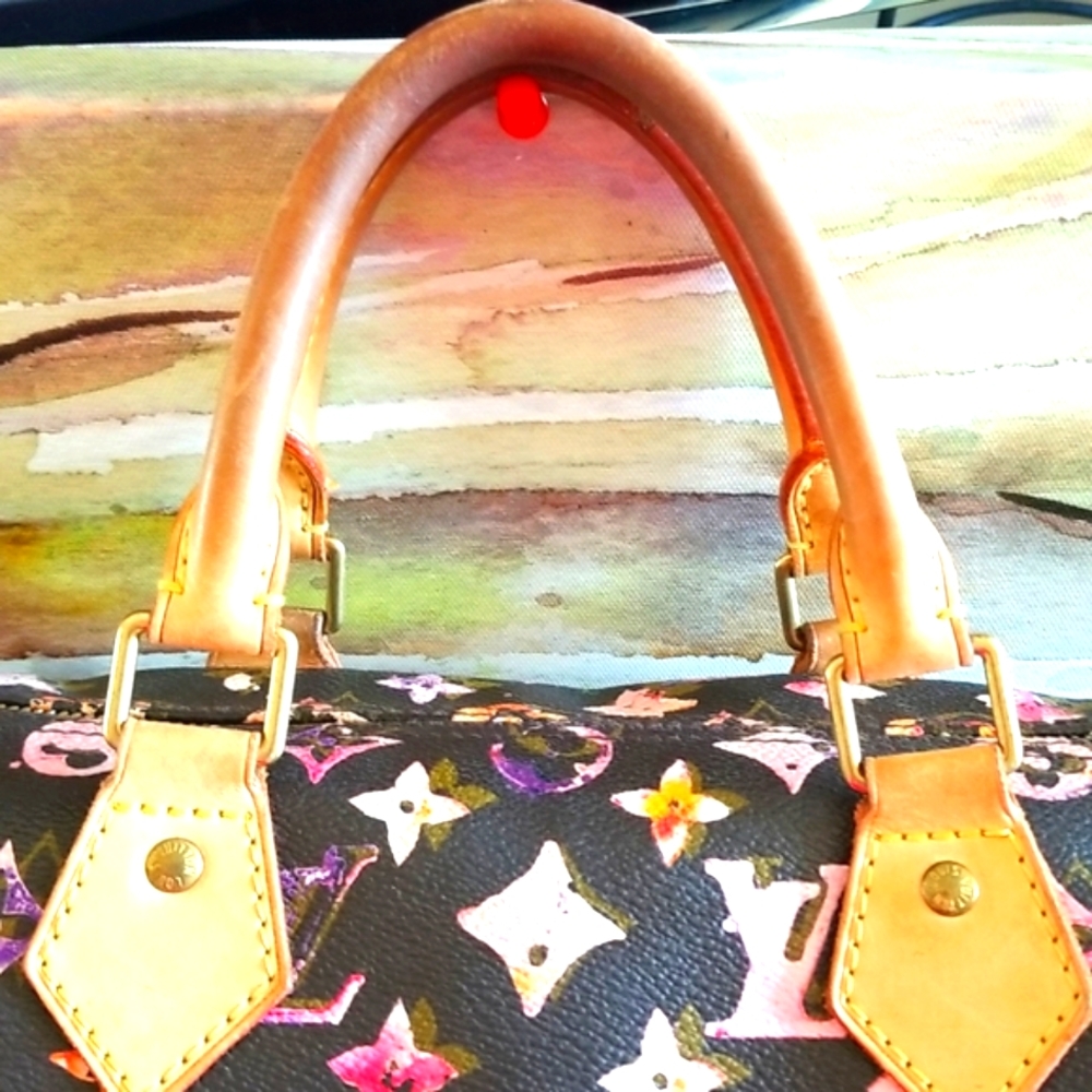 LOUIS VUITTON Richard Prince Watercolor MULTI Aquarelle Monogram Speedy 35 2008 - Picture 8 of 16